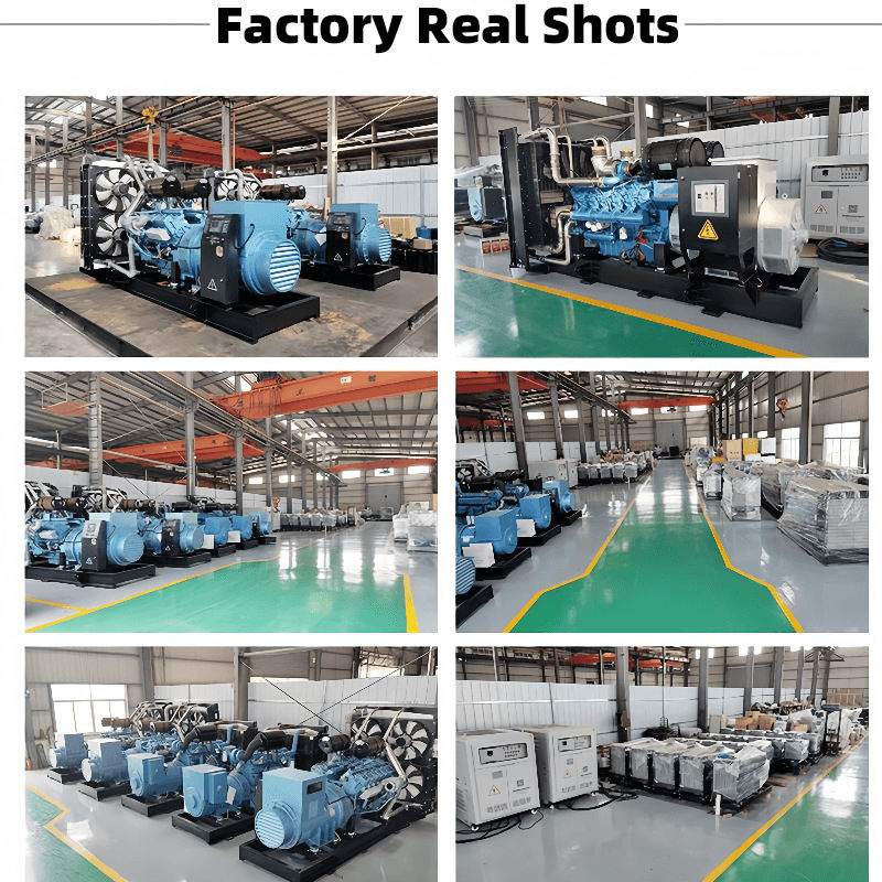 Dependable Diesel Power Generator 12kW 30kW 50kW Automatic Transfer Diesel Generator